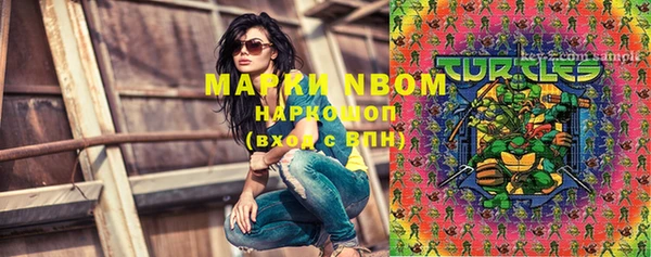 PSILOCYBIN Алзамай