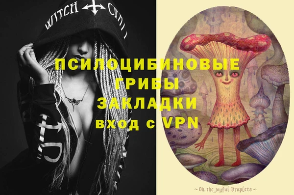 МДПВ Абаза