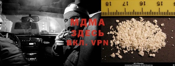 PSILOCYBIN Алзамай