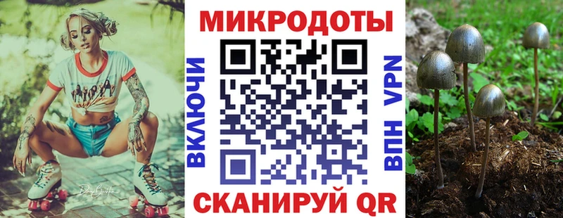 Галлюциногенные грибы Magic Shrooms где продают наркотики Ядрин